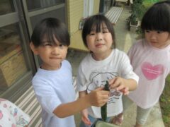 令和７年７月１１日（金）　先週の各クラスの様子です