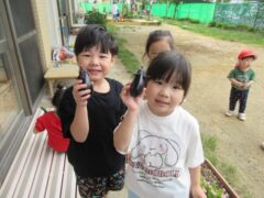 令和７年７月１２日（土）　今週の様子です