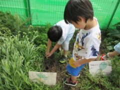 令和７年９月５日（金）　まだまだ暑い日が続いています　　　